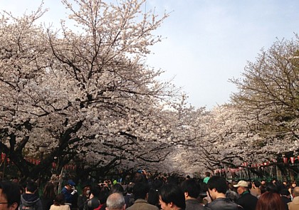 上野公園